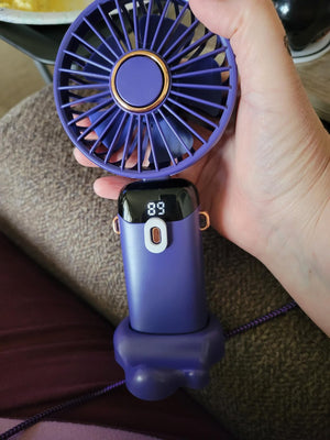 r4.jpg